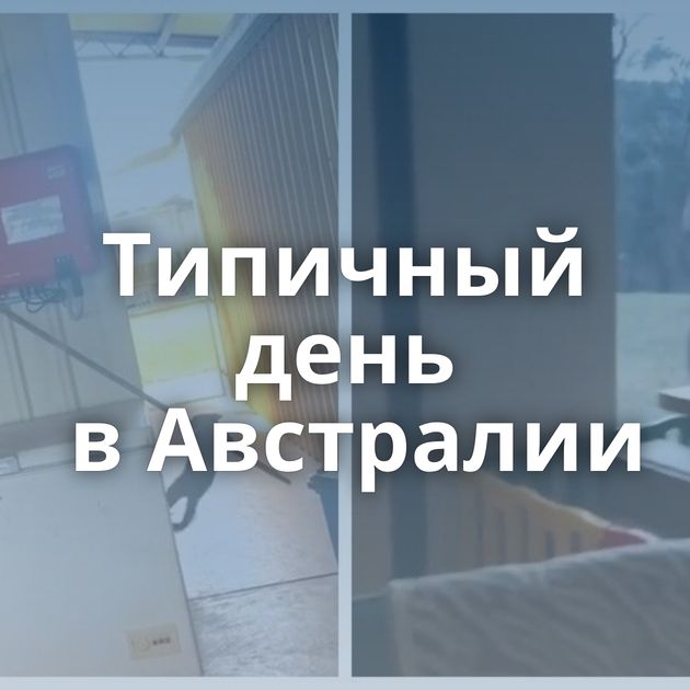 Типичный день в Австралии