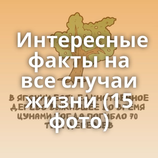 Интересные факты на все случаи жизни (15 фото)