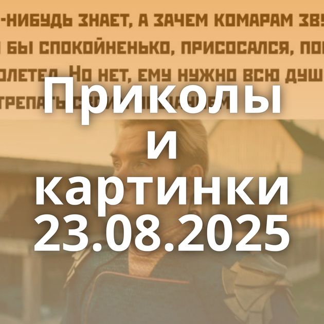 Приколы и картинки 23.08.2025