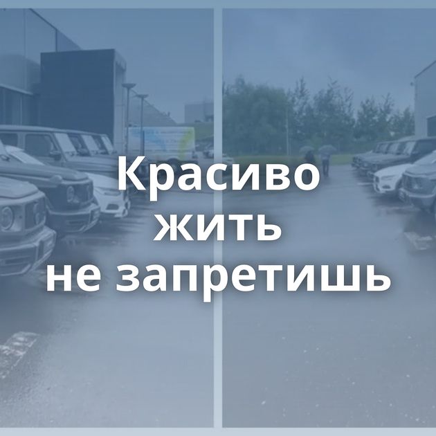 Красиво жить не запретишь