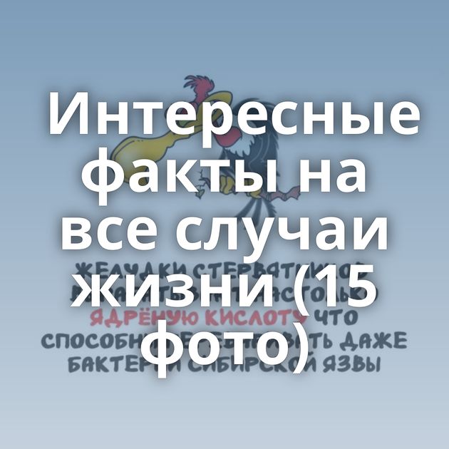 Интересные факты на все случаи жизни (15 фото)