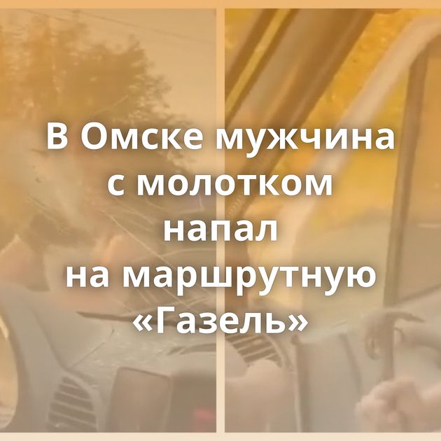 В Омске мужчина с молотком напал на маршрутную «Газель»