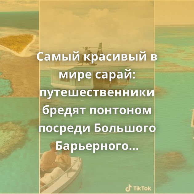 Самый красивый в мире сарай: путешественники бредят понтоном посреди Большого Барьерного рифа