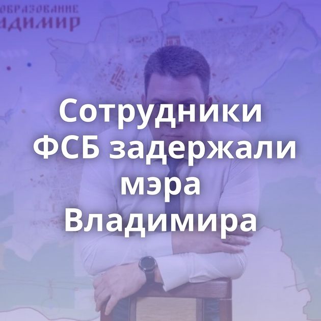 Сотрудники ФСБ задержали мэра Владимира