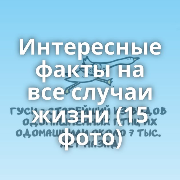 Интересные факты на все случаи жизни (15 фото)