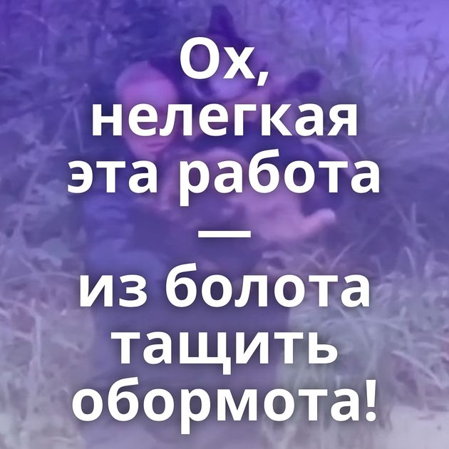 Ох, нелегкая эта работа — из болота тащить обормота!