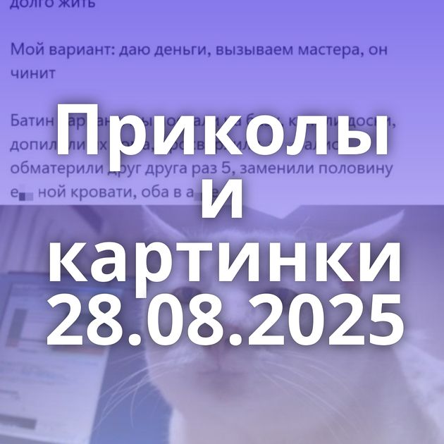 Приколы и картинки 28.08.2025