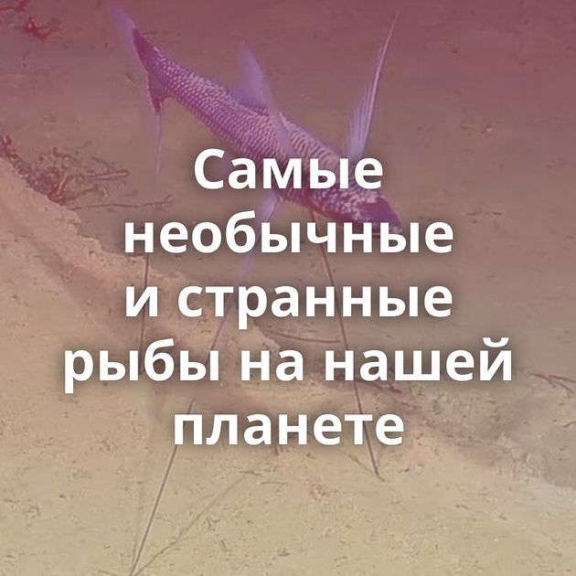 Самые необычные и странные рыбы на нашей планете
