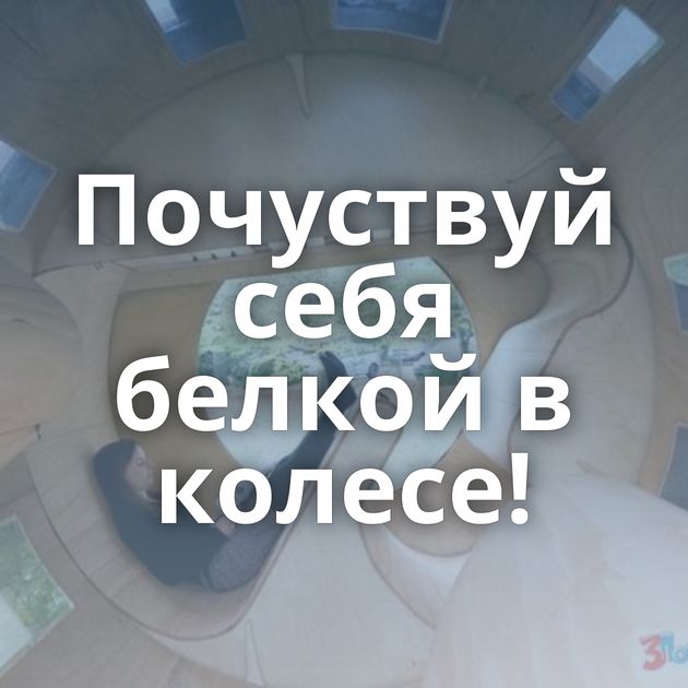 Почуствуй себя белкой в колесе!