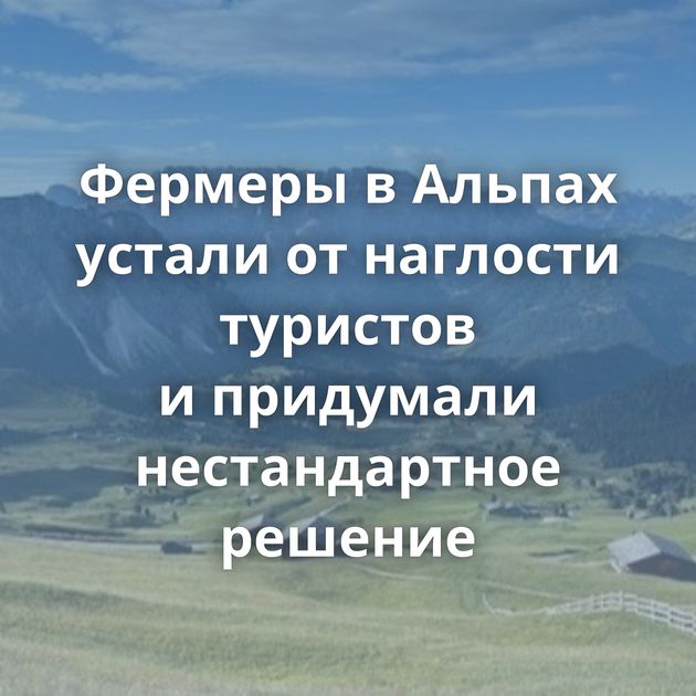 Фермеры в Альпах устали от наглости туристов и придумали нестандартное решение