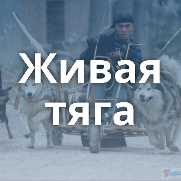 Живая тяга