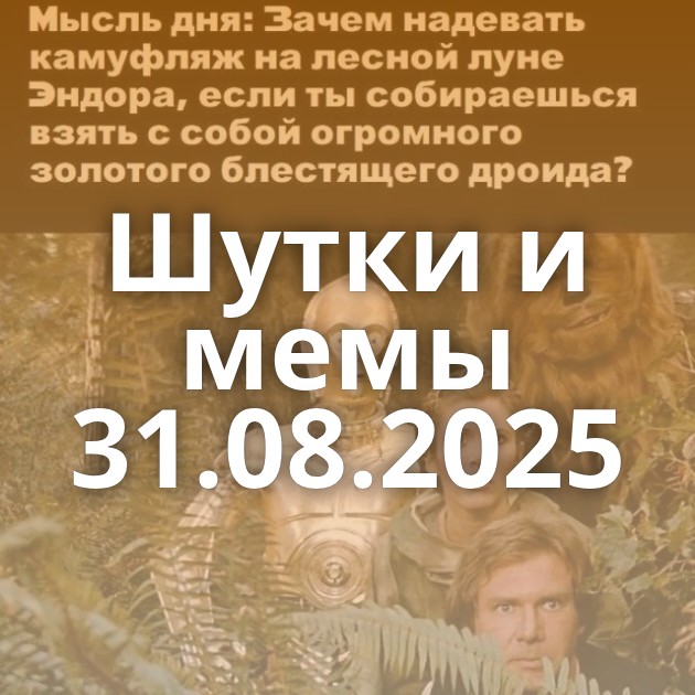 Шутки и мемы 31.08.2025
