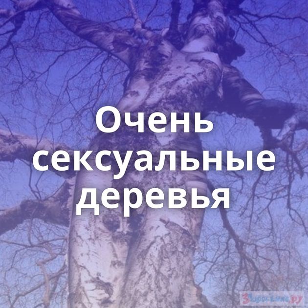 Очень сексуальные деревья