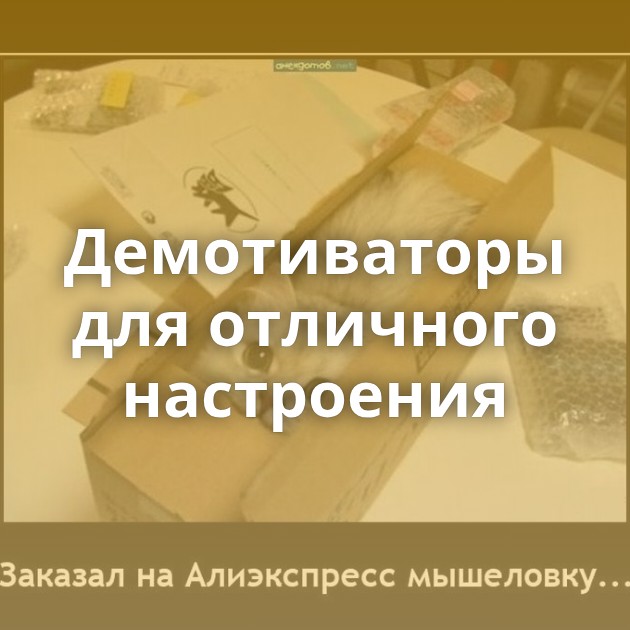 Демотиваторы для отличного настроения