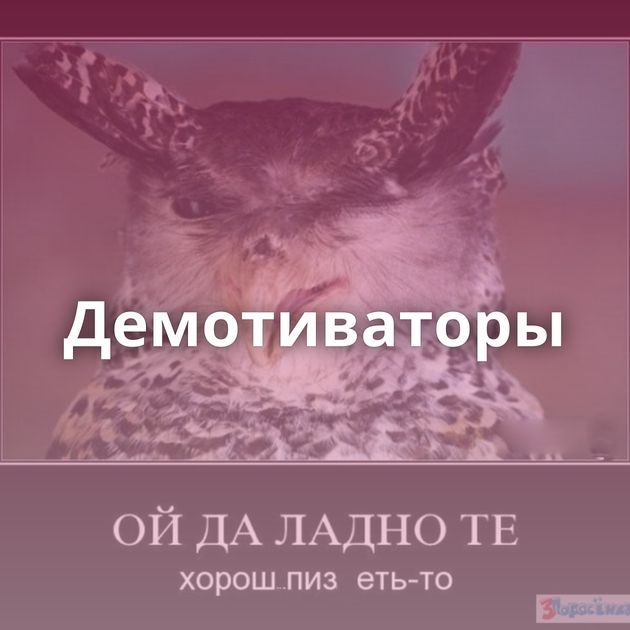 Демотиваторы