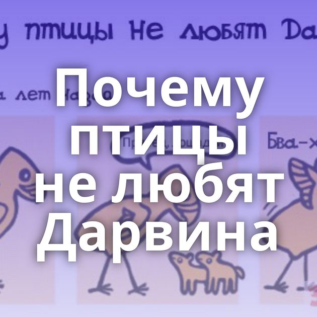 Почему птицы не любят Дарвина