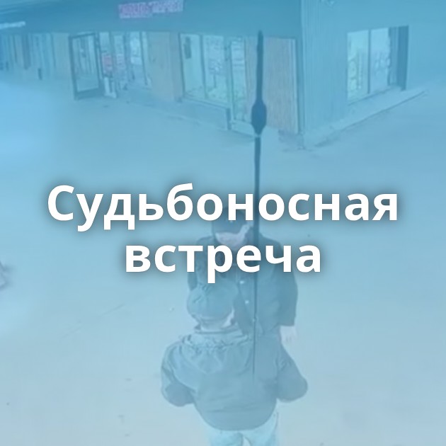 Судьбоносная встреча