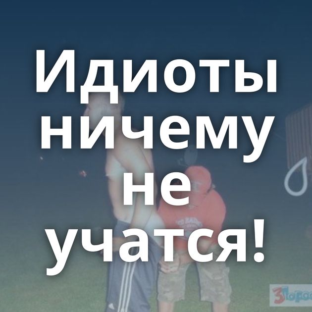 Идиоты ничему не учатся!