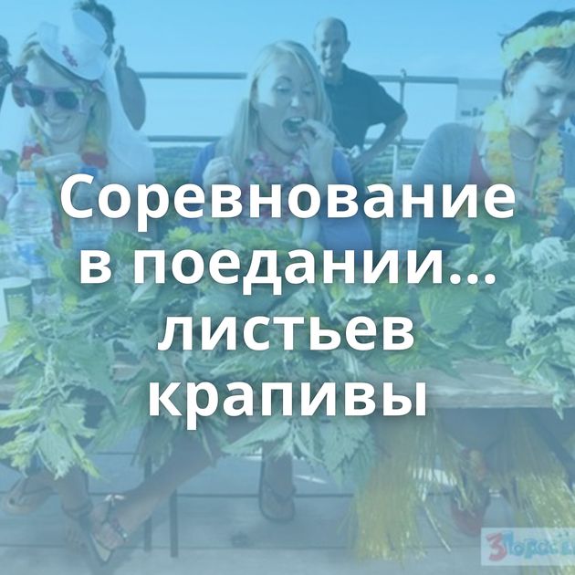 Соревнование в поедании... листьев крапивы