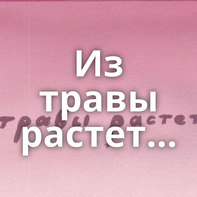 Из травы растет...