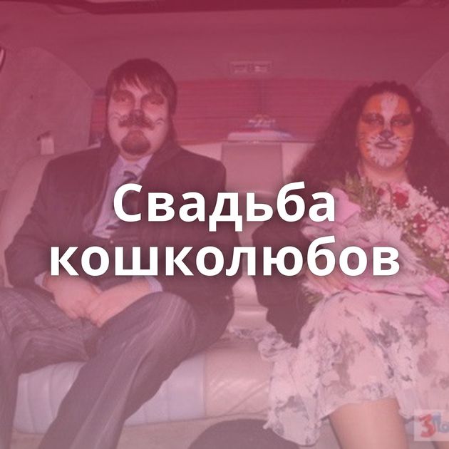 Свадьба кошколюбов