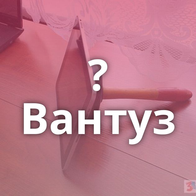 ?Вантуз