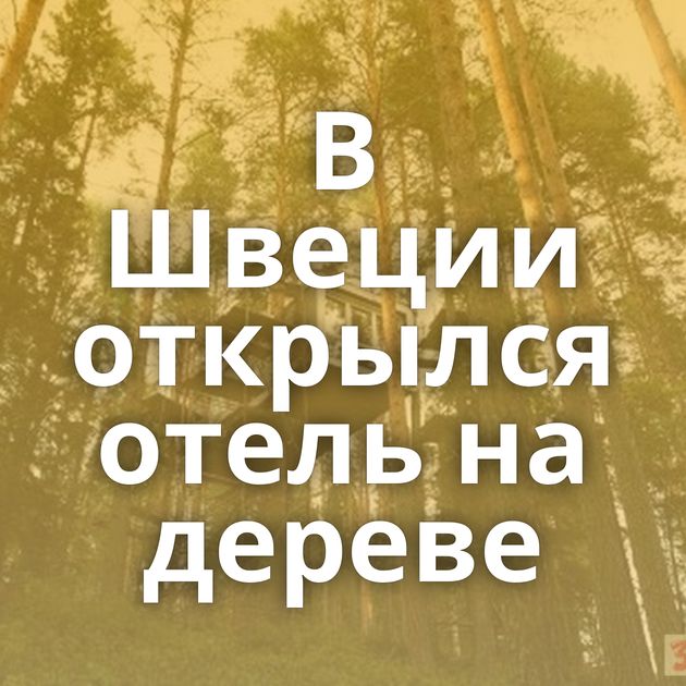 В Швеции открылся отель на дереве