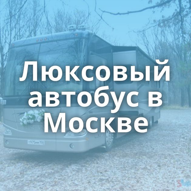 Люксовый автобус в Москве