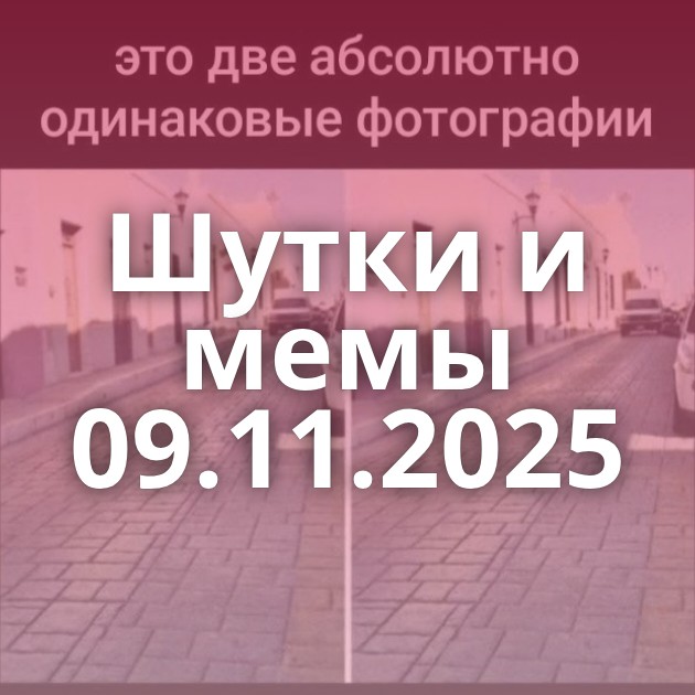 Шутки и мемы 09.11.2025
