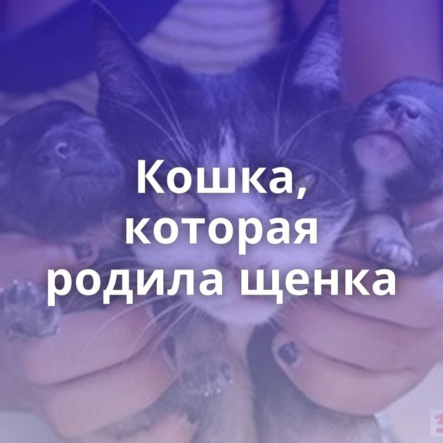 Кошка, которая родила щенка