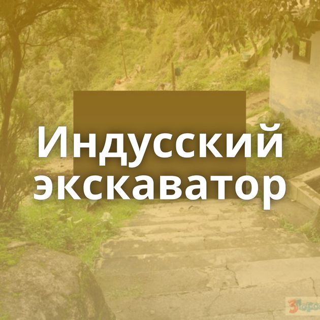 Индусский экскаватор