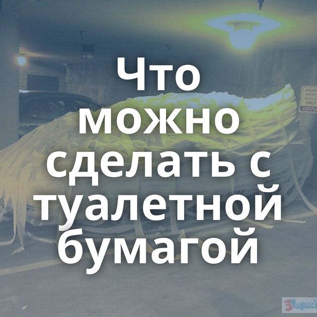 Что можно сделать с туалетной бумагой