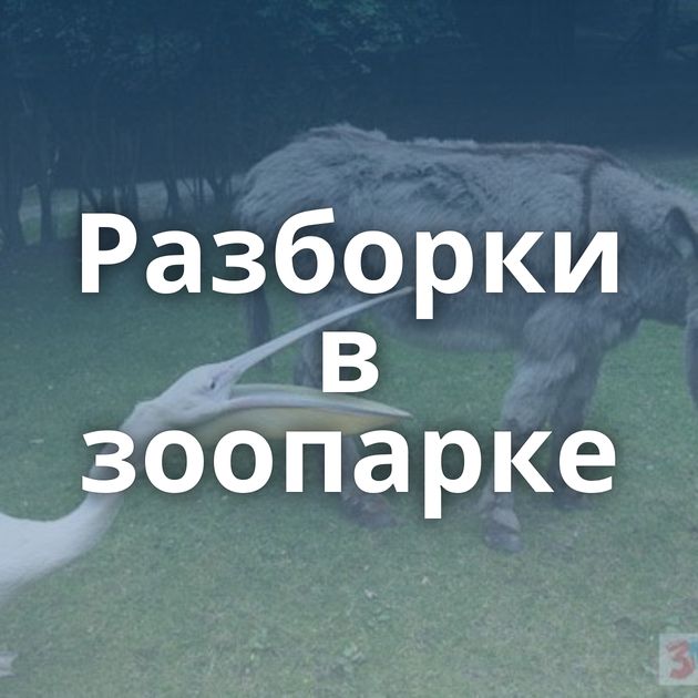 Разборки в зоопарке