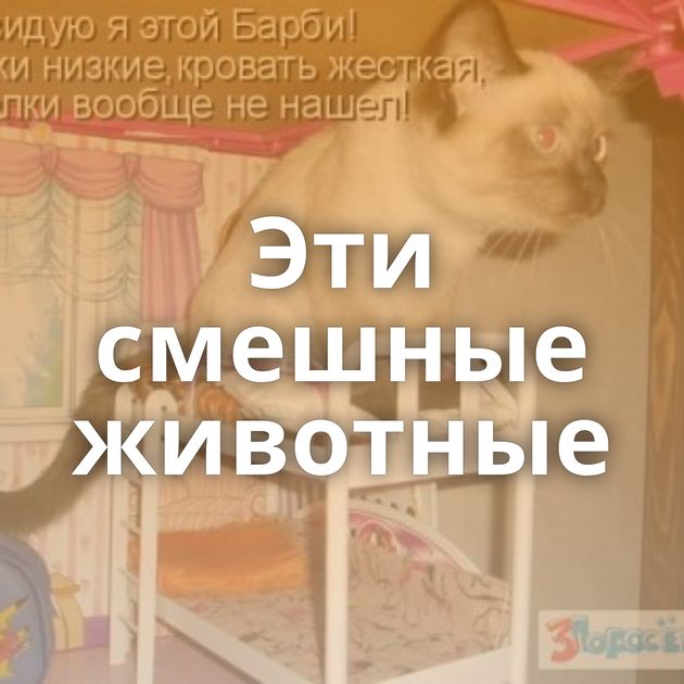 Эти смешные животные