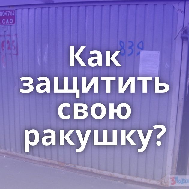 Как защитить свою ракушку?