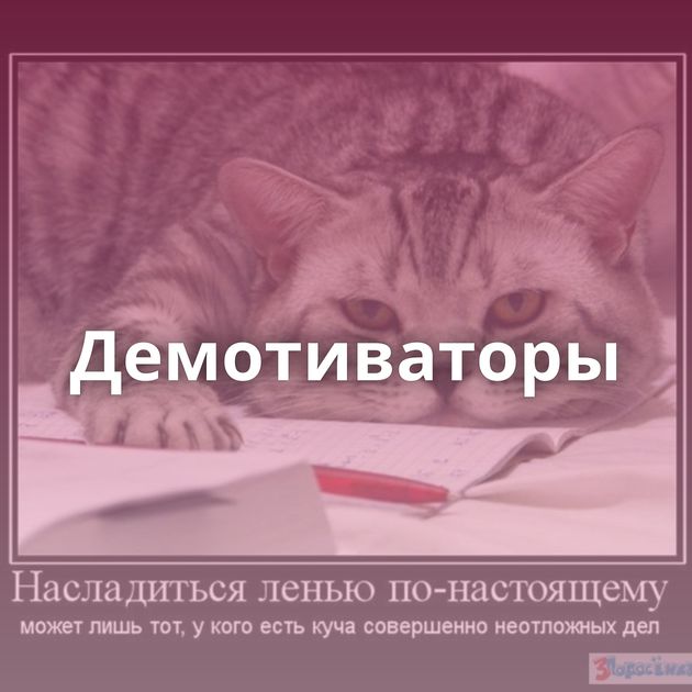 Демотиваторы