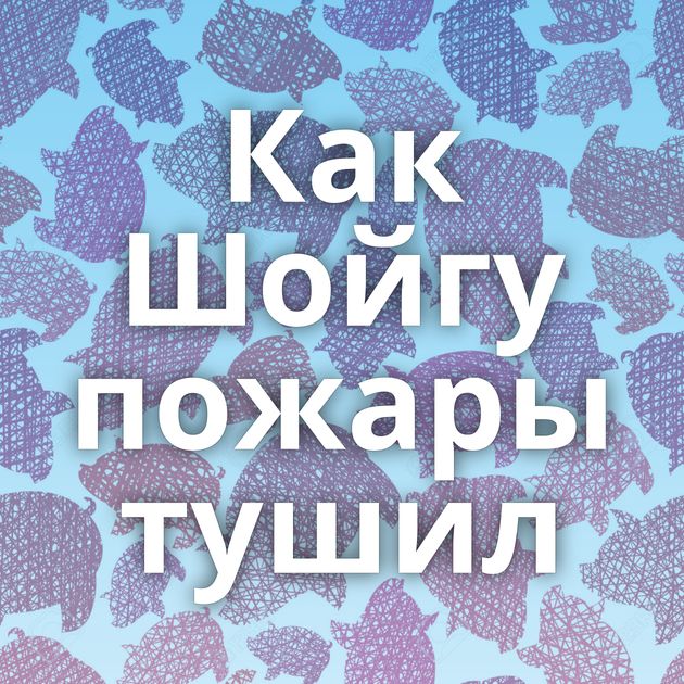 Как Шойгу пожары тушил