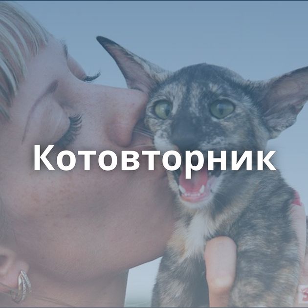 Котовторник