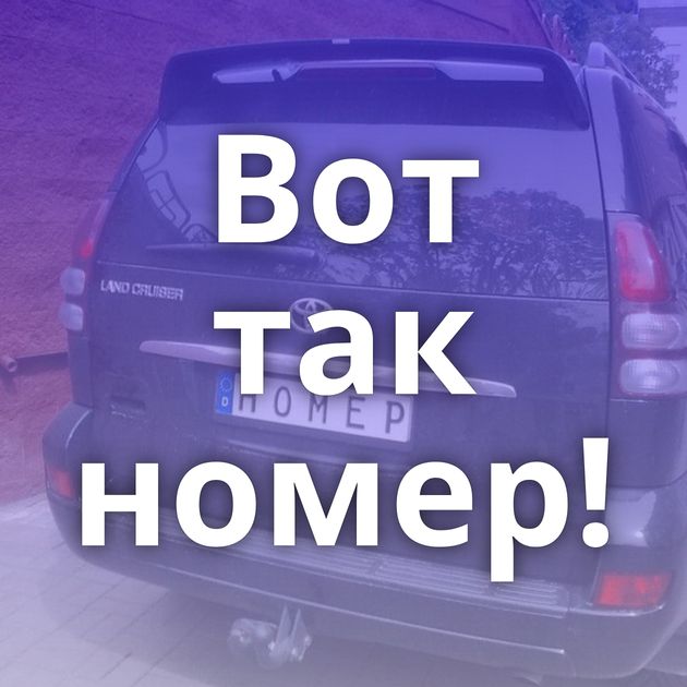 Вот так номер!
