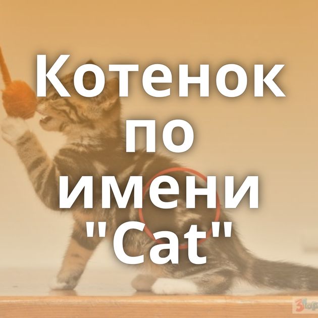 Котенок по имени 