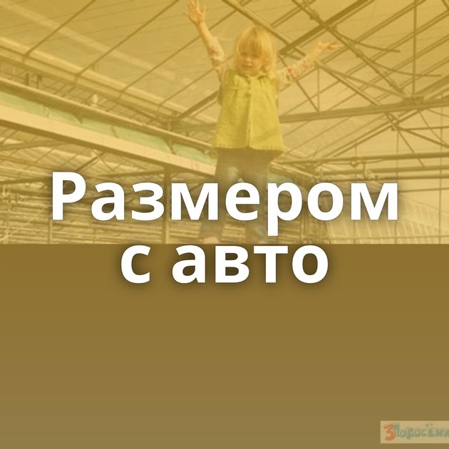 Размером с авто