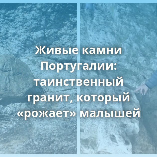 Живые камни Португалии: таинственный гранит, который «рожает» малышей