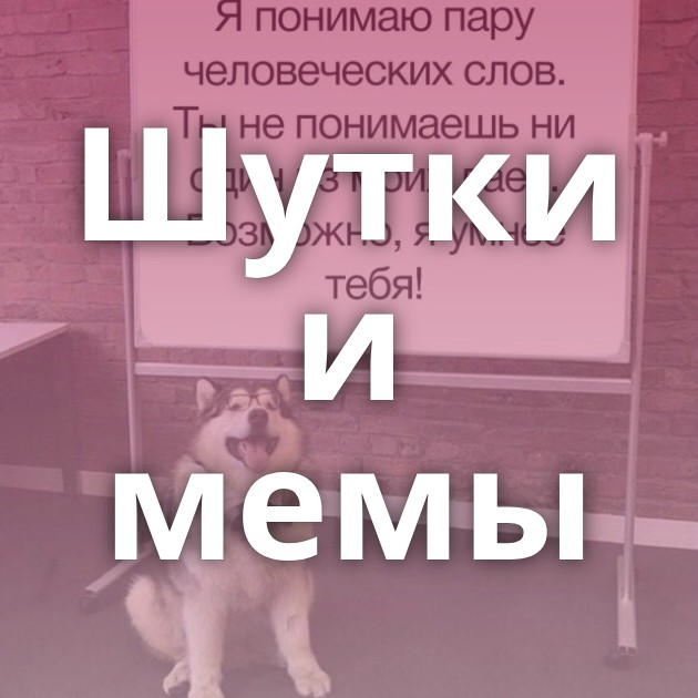 Шутки и мемы