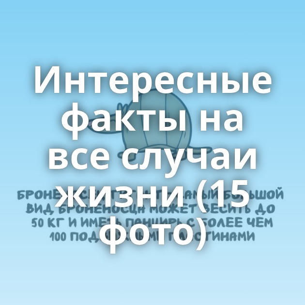 Интересные факты на все случаи жизни (15 фото)