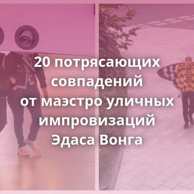 20 потрясающих совпадений от маэстро уличных импровизаций Эдаса Вонга