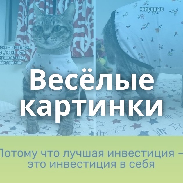 Весëлые картинки