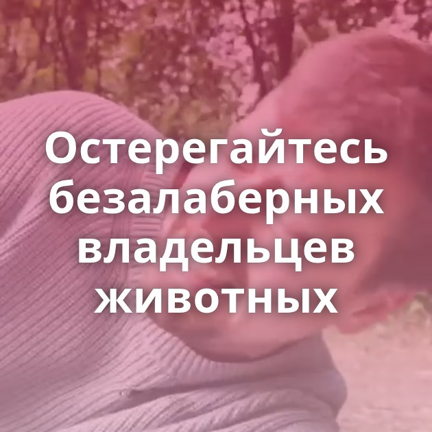 Остерегайтесь безалаберных владельцев животных