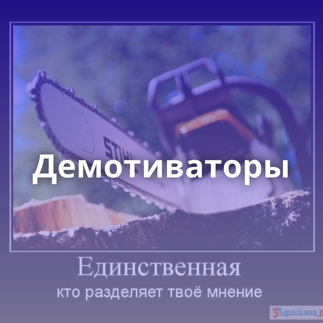 Демотиваторы