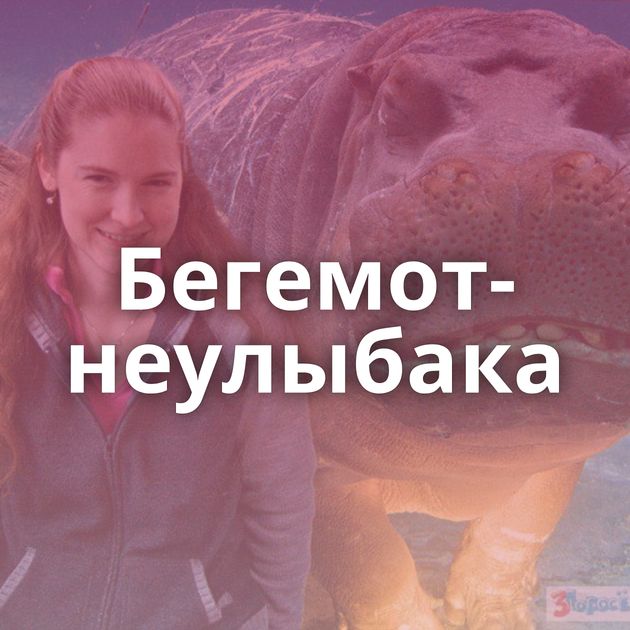 Бегемот-неулыбака