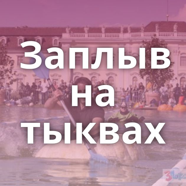 Заплыв на тыквах